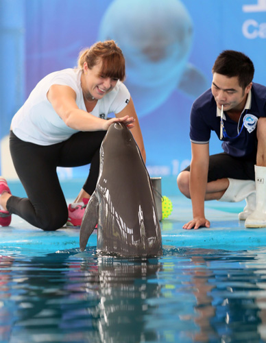 一致盛赞 一致盛赞